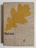 BAJBUZA - Józef Ignacy Kraszewski 1986